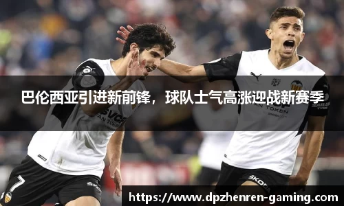 DP真人游戏官网